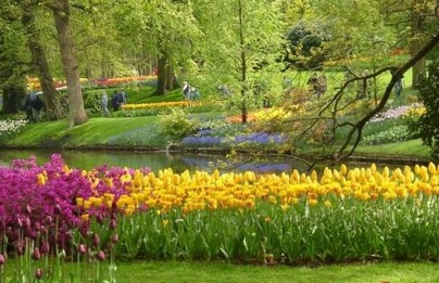 صور اجمل حدائق ورد جميلة جدا | اجمل صور حدئق ورد جميلة جدا ورهيبة | صور ورد من اجل الحدائق